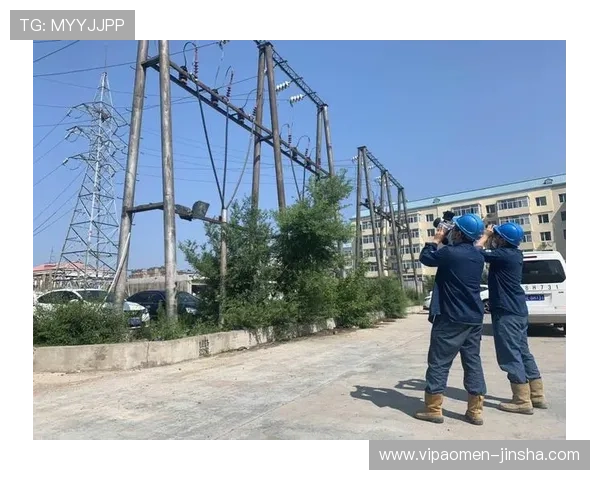 JS3016金沙官网安全保障措施全面解析确保玩家个人信息与资金安全无忧