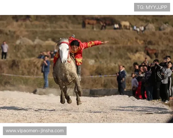 澳门赛马官网直播平台全面解析让你第一时间掌握赛马精彩瞬间