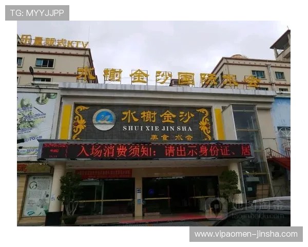 金沙国际的主要用途和用户可以享受到的具体服务内容